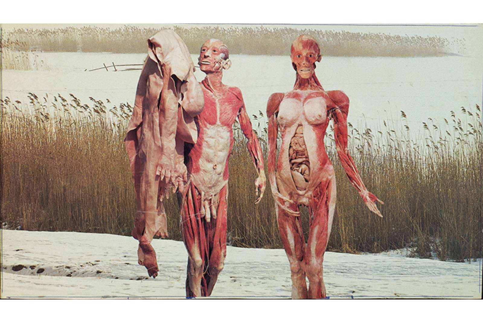 ION BÂRLĂDEANU [PHOTO LONDON]